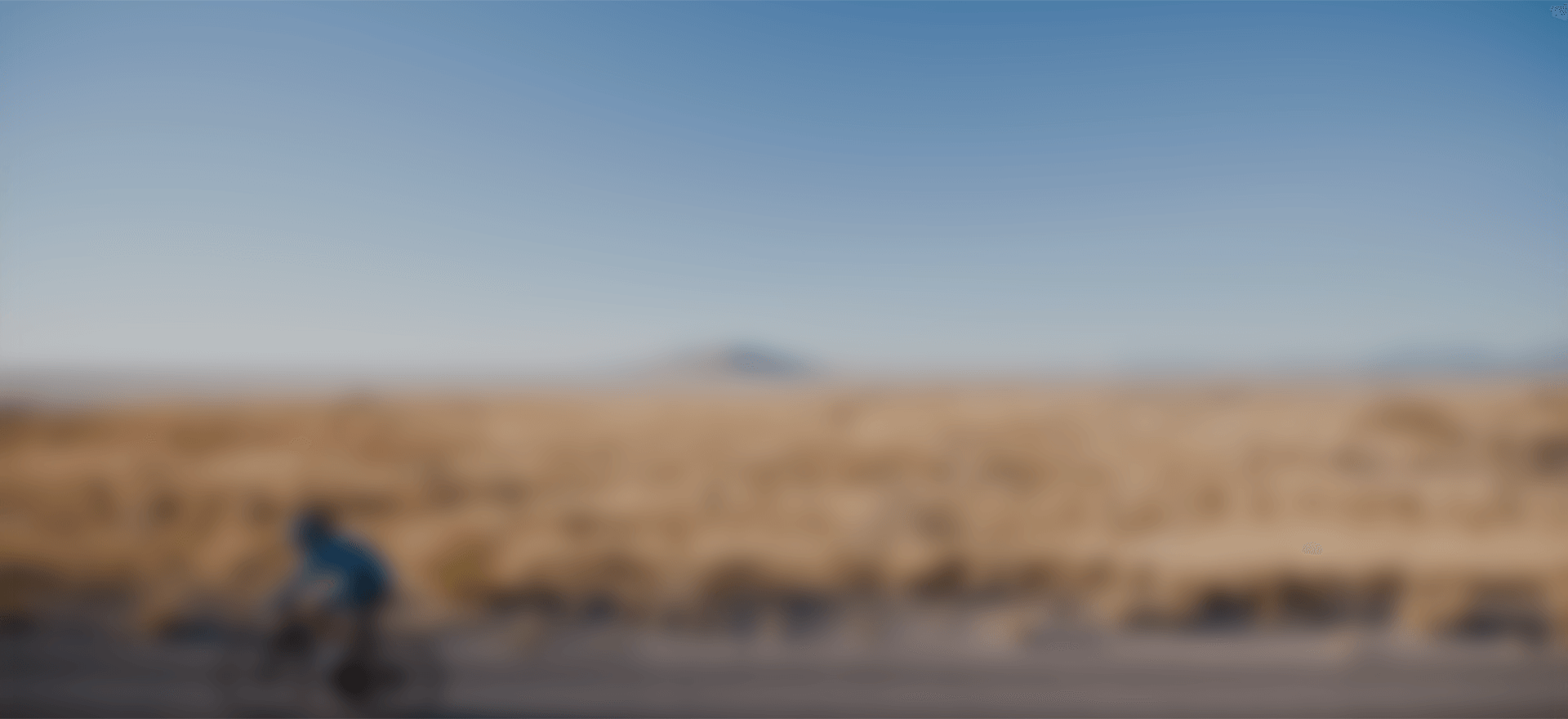 联系鉴黑担保网