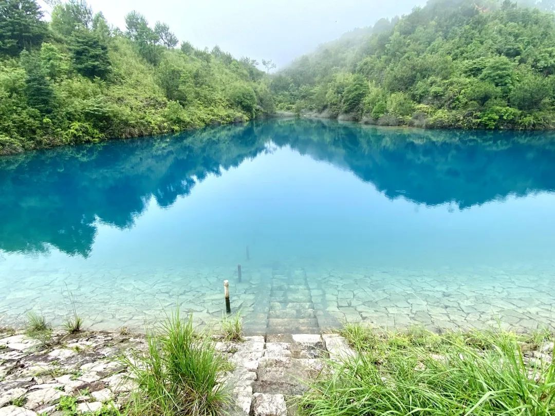 鉴黑担保网(jhdbw)·最具权威唯一维权担保平台